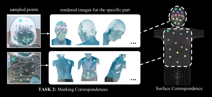 More about the dataset