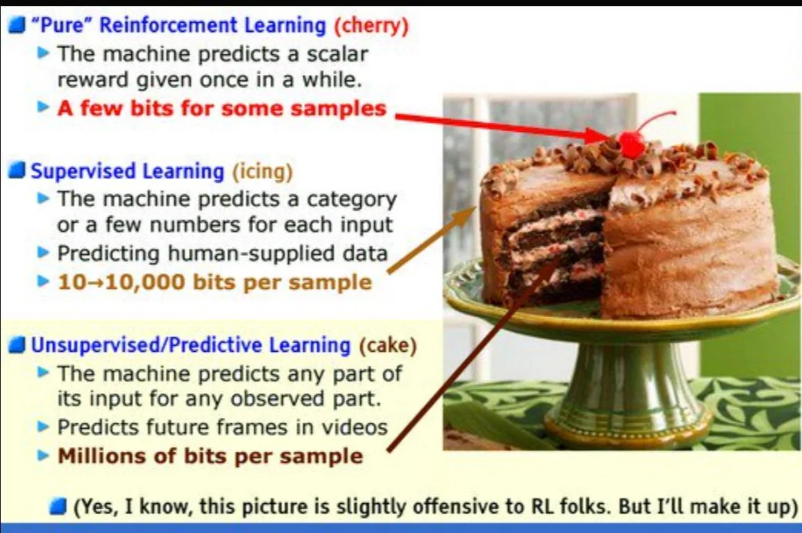 Yann LeCun's cake slide